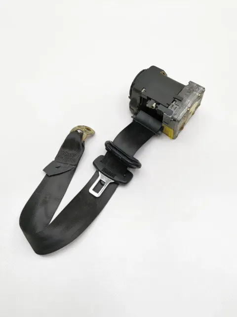 Article Z5DYX