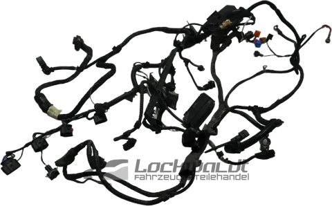 Article 59LL6